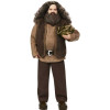 Harry Potter Rubeus Hagrid Baba Harry Potter Rubeus Hagrid Baba